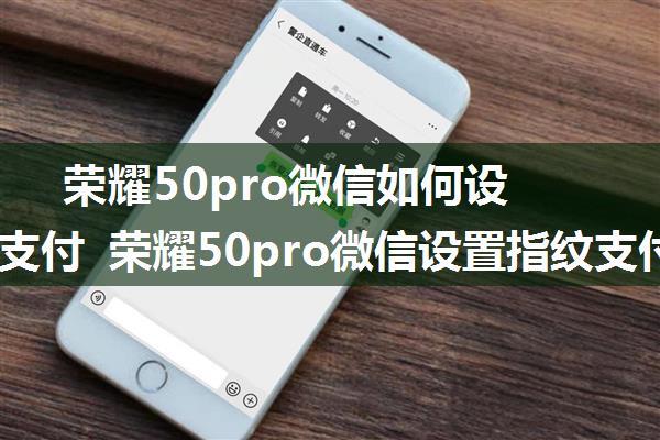 荣耀50pro微信如何设置指纹支付 荣耀50pro微信设置指纹支付方法【详解】