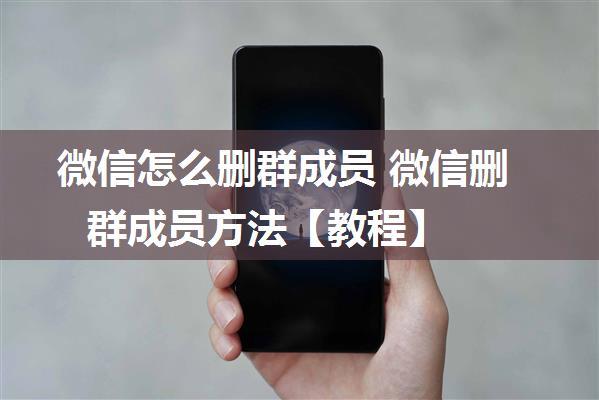 微信怎么删群成员 微信删群成员方法【教程】