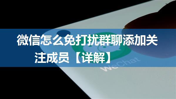 微信怎么免打扰群聊添加关注成员【详解】