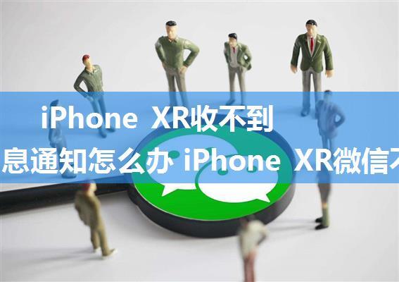 iPhone XR收不到微信消息通知怎么办 iPhone XR微信不提醒的解决方法【教程】