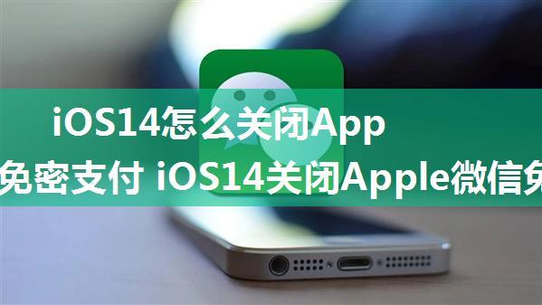 iOS14怎么关闭Apple微信免密支付 iOS14关闭Apple微信免密支付方法【详解】