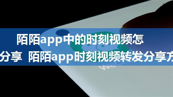 陌陌app中的时刻视频怎么转发分享 陌陌app时刻视频转发分享方法【教程】