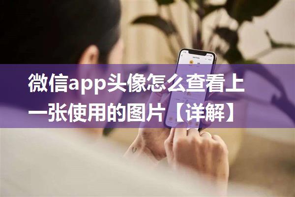 微信app头像怎么查看上一张使用的图片【详解】