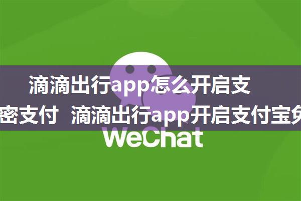 滴滴出行app怎么开启支付宝免密支付 滴滴出行app开启支付宝免密支付方法【步骤】