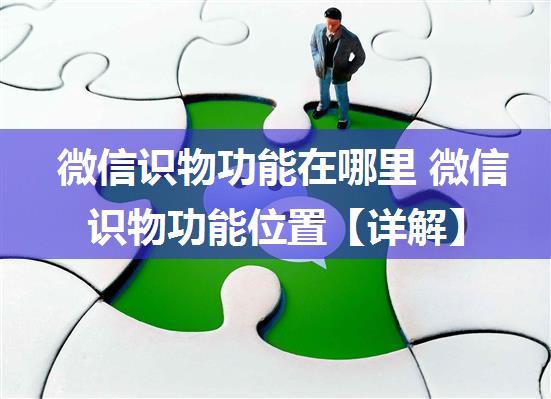 微信识物功能在哪里 微信识物功能位置【详解】