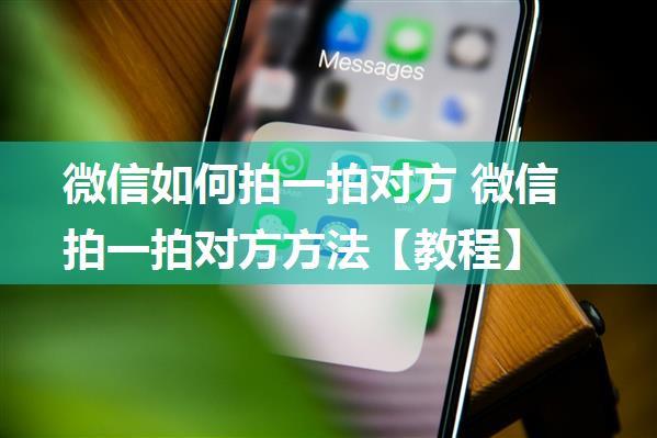 微信如何拍一拍对方 微信拍一拍对方方法【教程】