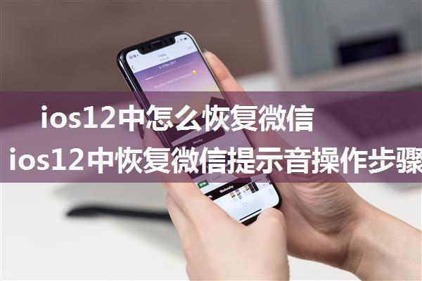 ios12中怎么恢复微信提示音 ios12中恢复微信提示音操作步骤【详解】