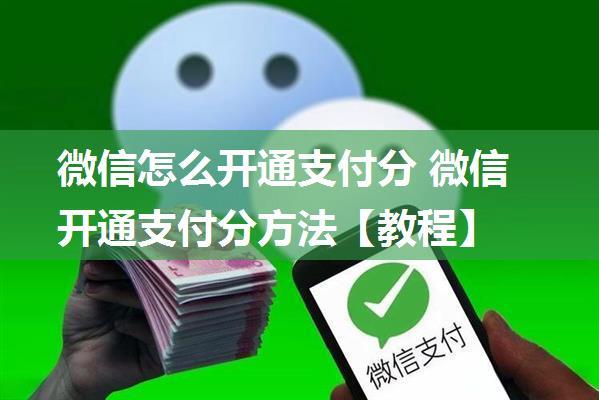 微信怎么开通支付分 微信开通支付分方法【教程】