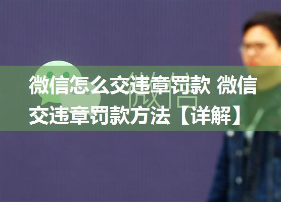 微信怎么交违章罚款 微信交违章罚款方法【详解】