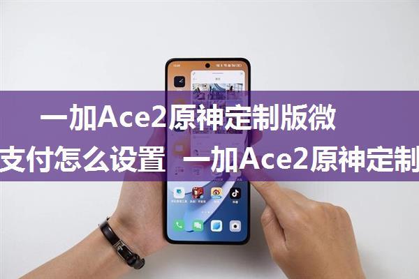 一加Ace2原神定制版微信面容支付怎么设置 一加Ace2原神定制版微信面容支付设置方法【详解】