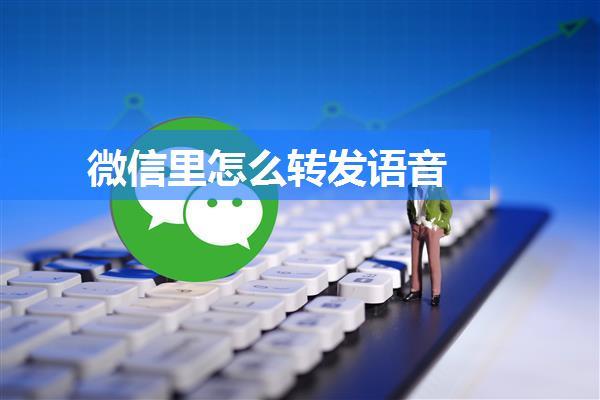 微信里怎么转发语音