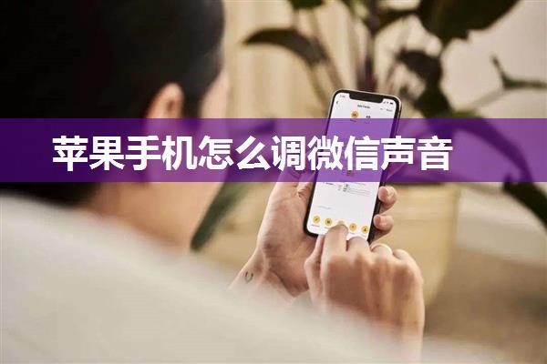 苹果手机怎么调微信声音