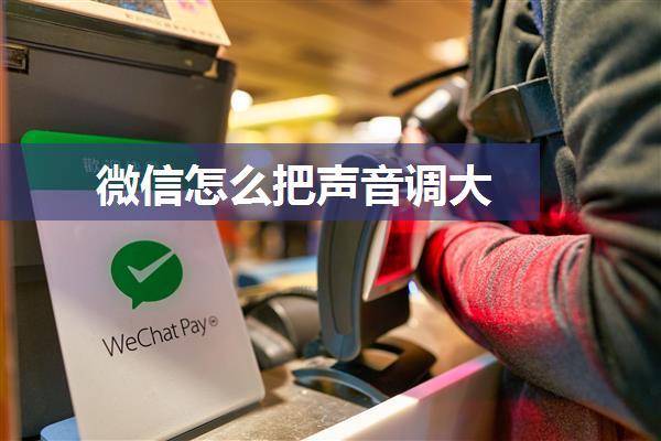 微信怎么把声音调大