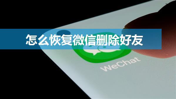 怎么恢复微信删除好友