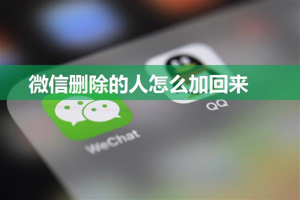 微信删除的人怎么加回来